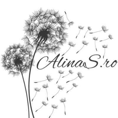 AlinaS.ro blog