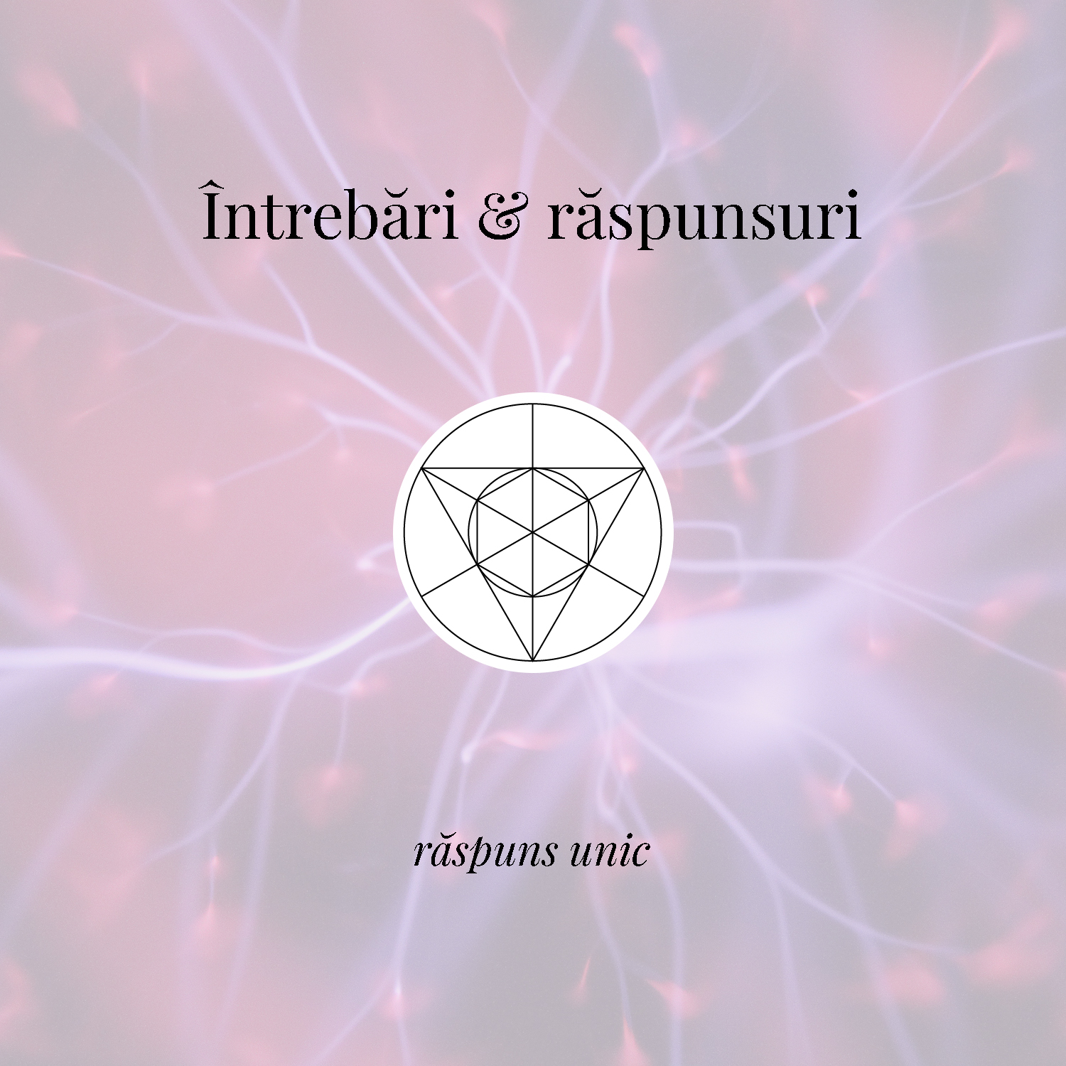 Întrebări & răspunsuri