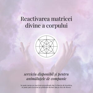 Reactivarea matricei divine a corpului
