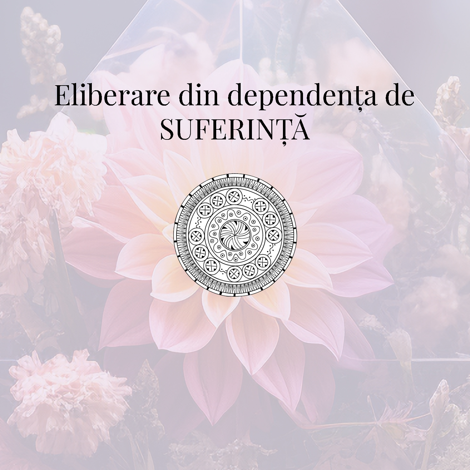 Eliberare din dependența de SUFERINȚĂ