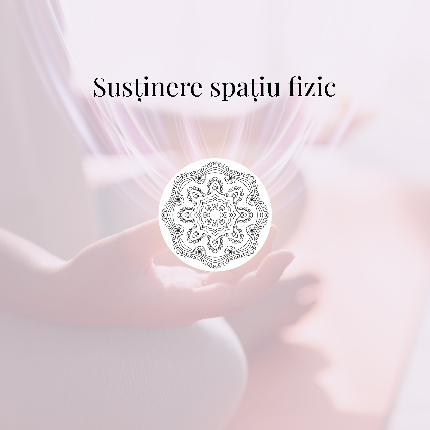 Susținere spațiu fizic